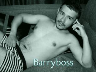 Barryboss