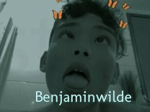 Benjaminwilde