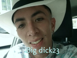 Big_dick23