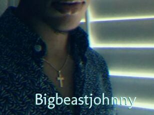 Bigbeastjohnny