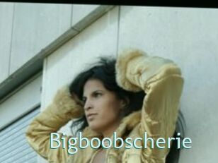 Bigboobscherie