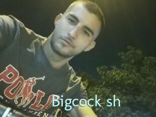 Bigcock_sh