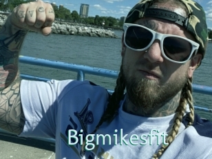 Bigmikesfit