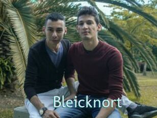 Bleicknort