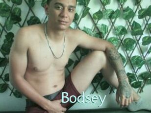 Bodsey