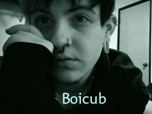 Boicub