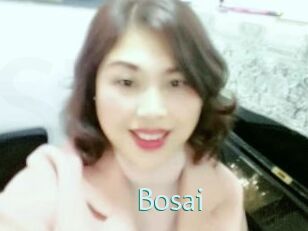 Bosai