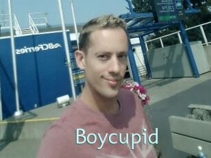 Boycupid