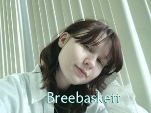 Breebaskett