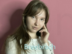 Breebrach