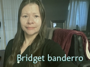 Bridget_banderro