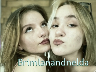 Brimlanandnelda