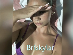 Briskylar