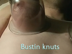 Bustin_knuts