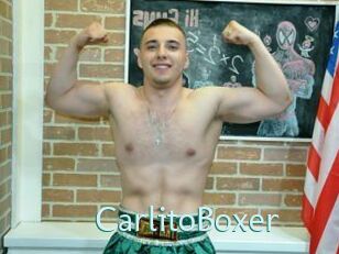 CarlitoBoxer