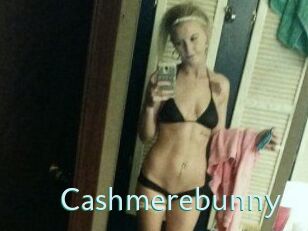 Cashmerebunny