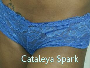 Cataleya_Spark