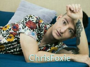 ChrisFoxie Straponles