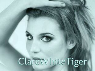 ClaraWhiteTiger