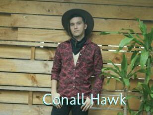 Conall_Hawk
