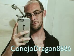 ConejoDragon8886