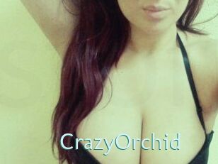 CrazyOrchid