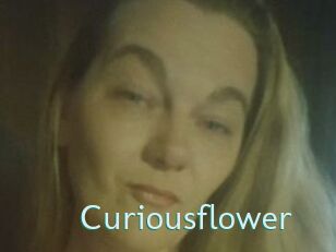 Curiousflower