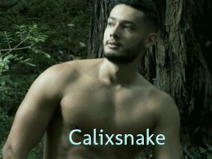 Calixsnake