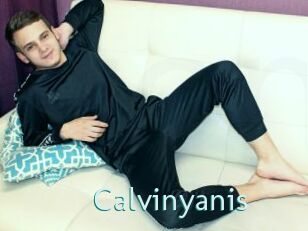 Calvinyanis
