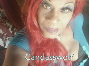 Candasswolf