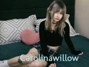 Carolinawillow