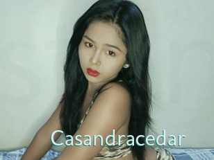 Casandracedar