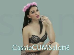 CassieCUMSalot18