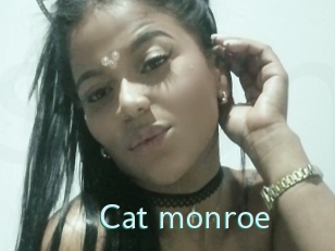 Cat_monroe