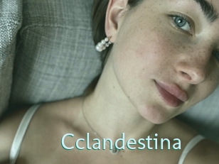 Cclandestina