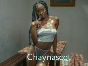 Chaynascot