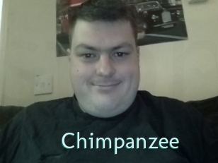 Chimpanzee