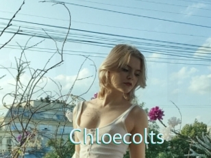 Chloecolts