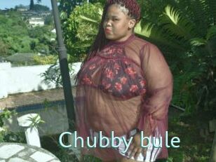 Chubby_bule