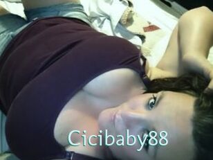 Cicibaby88