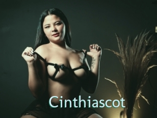 Cinthiascot