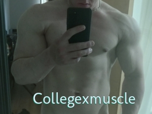 Collegexmuscle