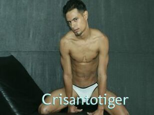 Crisantotiger