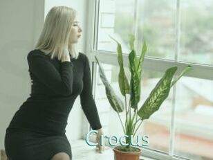 Crocus