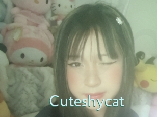 Cuteshycat