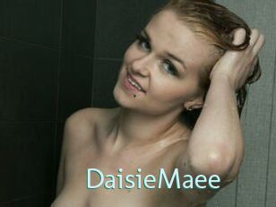 DaisieMaee