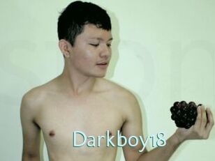 Darkboy18