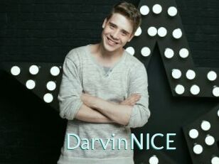 DarvinNICE Straponles