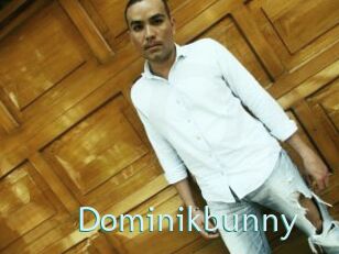 Dominikbunny