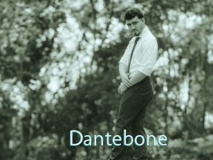 Dantebone